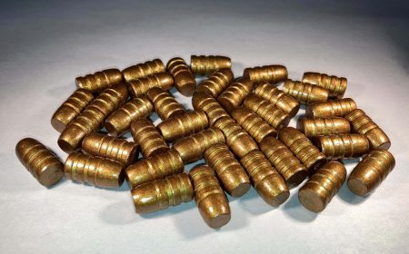 44-40 290 grain Round Nose Flat Point Bevel Base